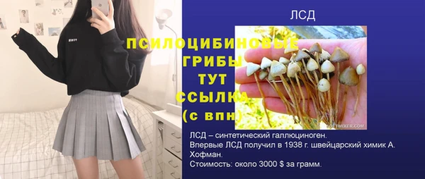 тгк Баксан