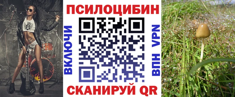 сайты даркнета состав  Заполярный  Псилоцибиновые грибы Psilocybine cubensis 