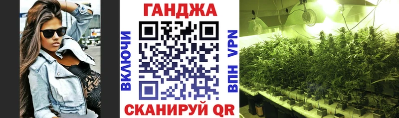 Бошки Шишки план  купить  цена  Заполярный 